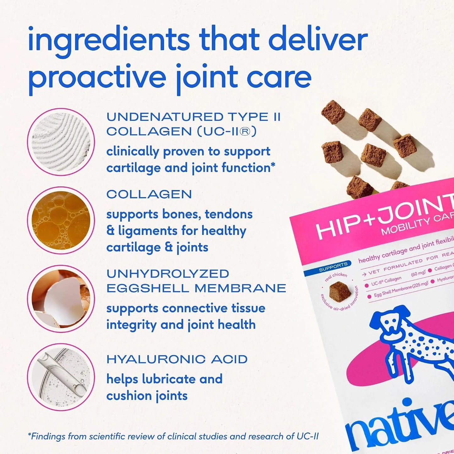 Native Pet Joint & Allergy Defense Pack: Hip & Joint Supplement for Dogs - Maintain Healthy Cartilage & Joint Flexibility & Dog Allergy Relief with Probiotics and Colostrum for Itch Relief - 60 Chews