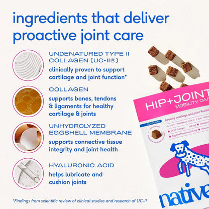 Native Pet Joint & Allergy Defense Pack: Hip & Joint Supplement for Dogs - Maintain Healthy Cartilage & Joint Flexibility & Dog Allergy Relief with Probiotics and Colostrum for Itch Relief - 60 Chews