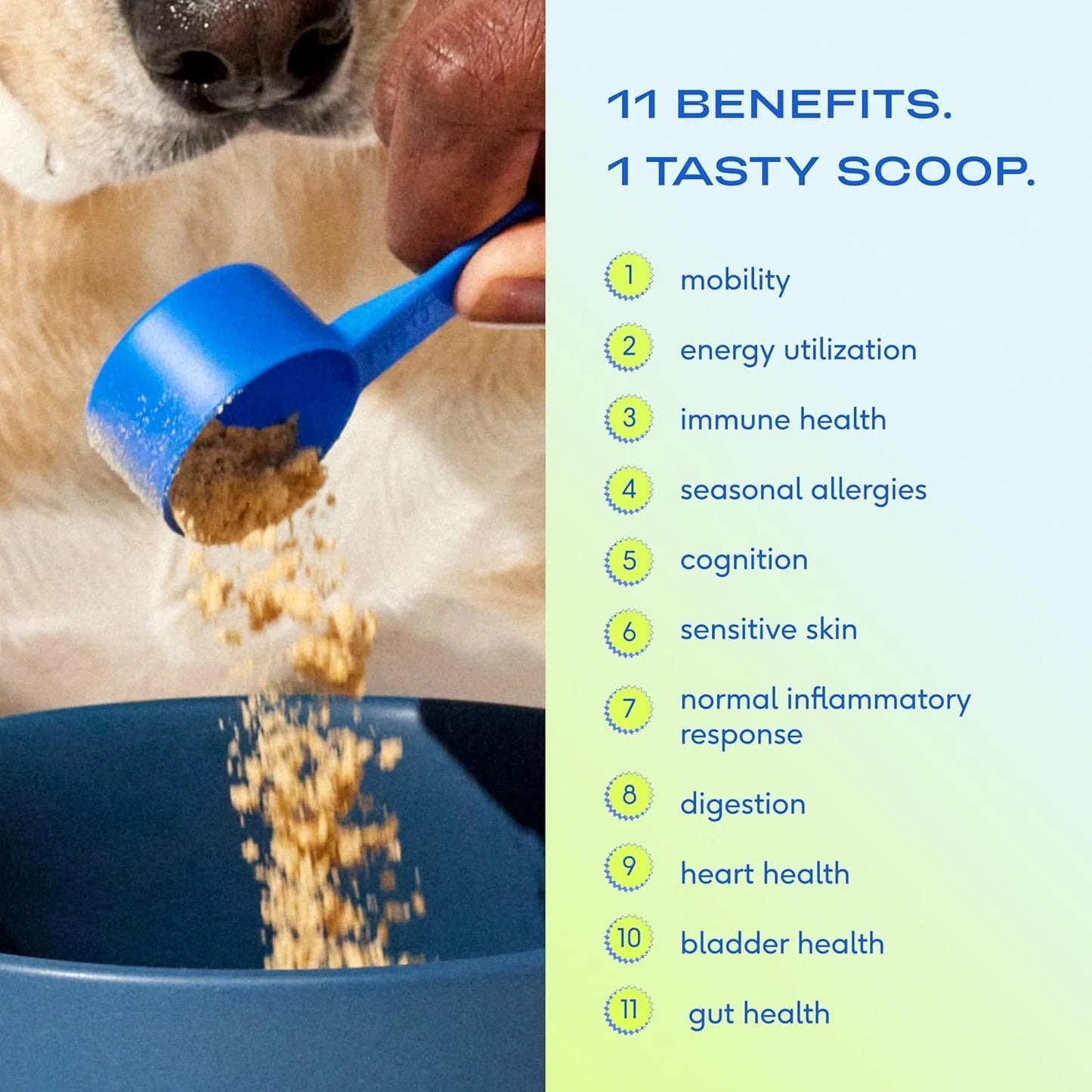 Native Pet Probiotic for Dogs (4.1 Oz.) & The Daily Dog Vitamins & Supplements (7 Oz.) - Vet Created Probiotic Powder for Digestive Issues & 11-in-1 Multivitamin with 21 Supplements & Vitamins