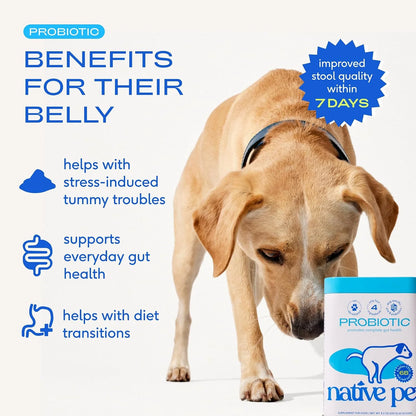 Native Pet Probiotic for Dogs (8.2 Oz.) & The Daily Dog Vitamins & Supplements (14 Oz.) - Vet Created Probiotic Powder for Digestive Issues & 11-in-1 Multivitamin with 21 Supplements & Vitamins