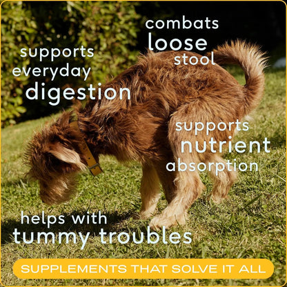 Native Pet Belly Bundle: Pumpkin for Dogs (8 Oz.) & Probiotic Powder for Dogs (4.1 Oz.) - All-Natural Remedy for Pet Diarrhea, Upset Stomach & Gas Relief