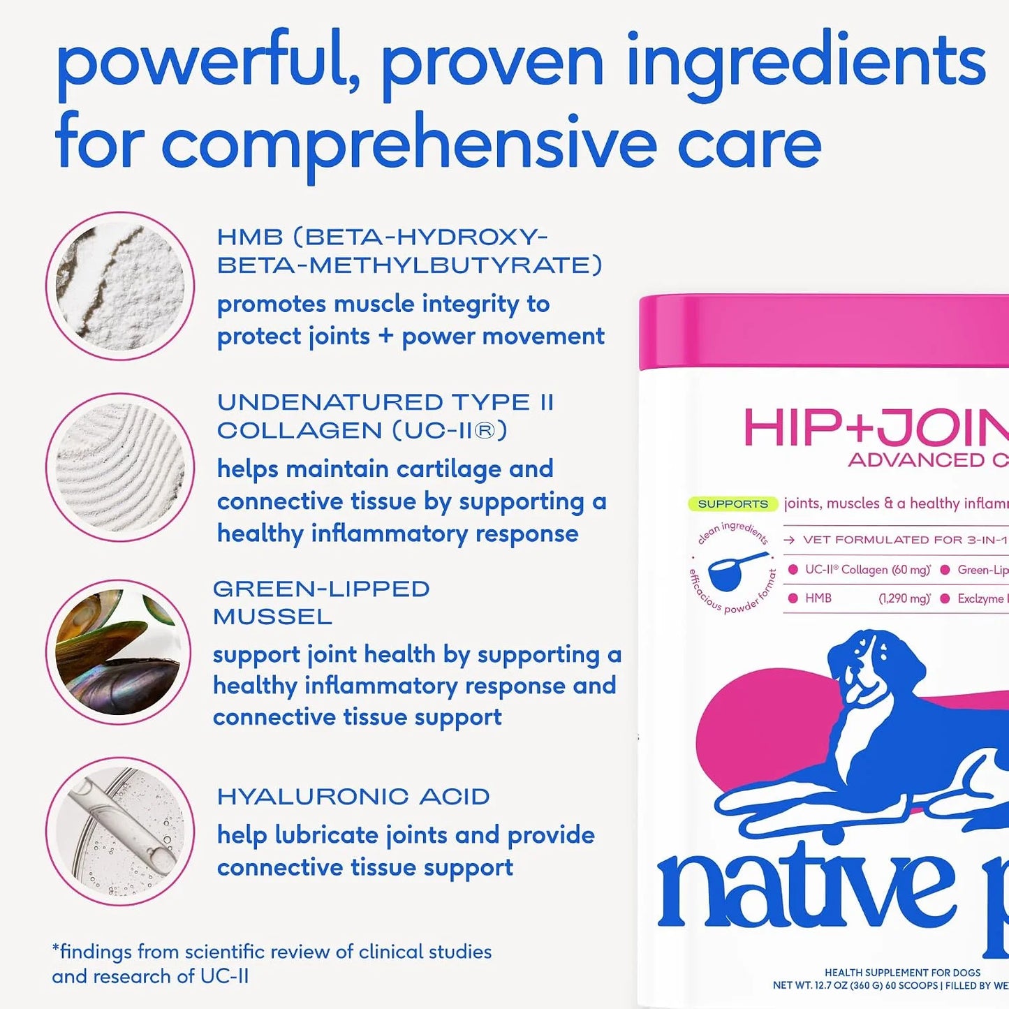Native Pet Complete Joint Care & Pain Relief: Advanced Care Hip & Joint Supplement for Dogs - Supports, Cartilage, Muscles & Anti-Inflammatory - Pain Relief for Dogs with Collagen - 30 Count