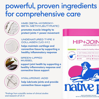Native Pet Complete Joint Care & Pain Relief: Advanced Care Hip & Joint Supplement for Dogs - Supports, Cartilage, Muscles & Anti-Inflammatory - Pain Relief for Dogs with Collagen - 30 Count