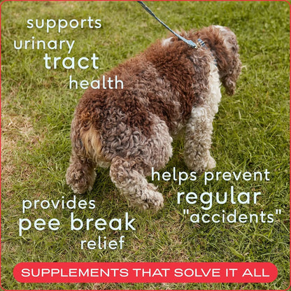 Native Pet Dog UTI Treatment Over The Counter & Fish Oil for Dogs to Support Itchy Skin + Mobility | 60 Chews & 8 Oz