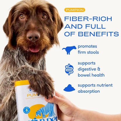 Native Pet Pumpkin Powder for Dogs (30 Scoops) and The Daily Dog Supplement (30 Scoops) - All-Natural, Organic Pumpkin Fiber and 11 in 1 Dog Multivitamins & Supplements