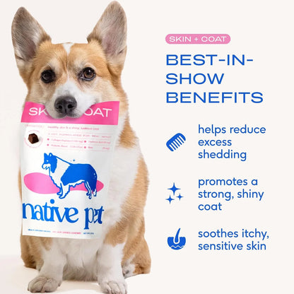 Native Pet Omega Skin and Coat Chews for Dogs (30 Air-Dried Chews) & Allergy Chews (30 Air-Dried Chews) - Promotes Healthy Skin & Shiny Coat - Soothing Itchy Skin & Digestive Support
