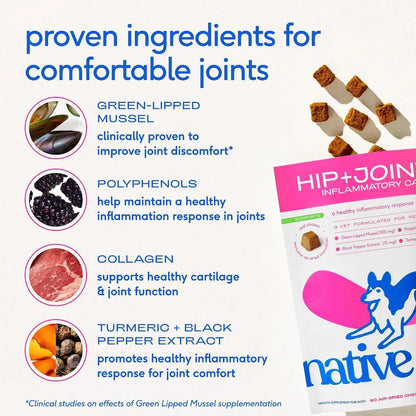Native Pet Joint & Itch Relief Bundle: Relief Chews for Dogs (30 Air-Dried Chews) & Allergy Chews for Dogs (30 Air-Dried Chews) - Anti-Inflammatory Promotes Healthy Skin, Shiny Coat, & Strong Joints