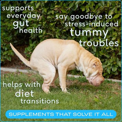 Native Pet Belly Bundle: Pumpkin for Dogs (8 Oz.) & Probiotic Powder for Dogs (4.1 Oz.) - All-Natural Remedy for Pet Diarrhea, Upset Stomach & Gas Relief