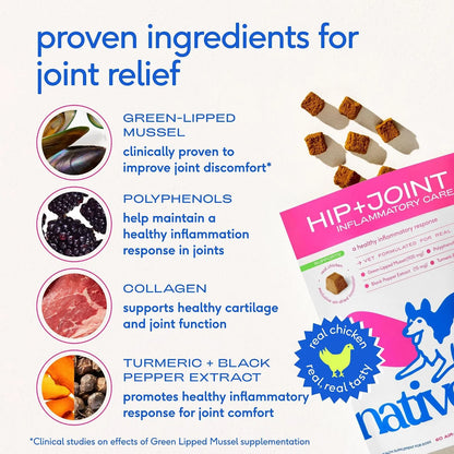Native Pet Omega Oil for Dogs 8 Oz - Fish Oil Supplements & Relief - Anti-Inflammatory Chews for Dogs - 60 Chews - Arthritis Supplement & Joint Pain Relief