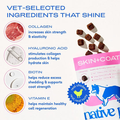 Native Pet Omega Skin and Coat Chews for Dogs (30 Air-Dried Chews) & Allergy Chews (30 Air-Dried Chews) - Promotes Healthy Skin & Shiny Coat - Soothing Itchy Skin & Digestive Support