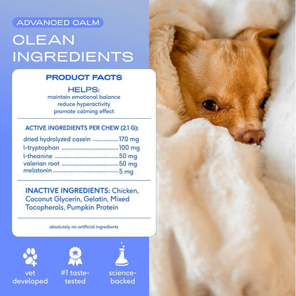 Native Pet Advanced Calming Chews for Dogs & The Daily Dog Vitamins & Supplements - 11-in-1 Multivitamin Powder - Supports Whole Body Health, Mobility, Immunity & Anxiety Related Behavior - 60 Count