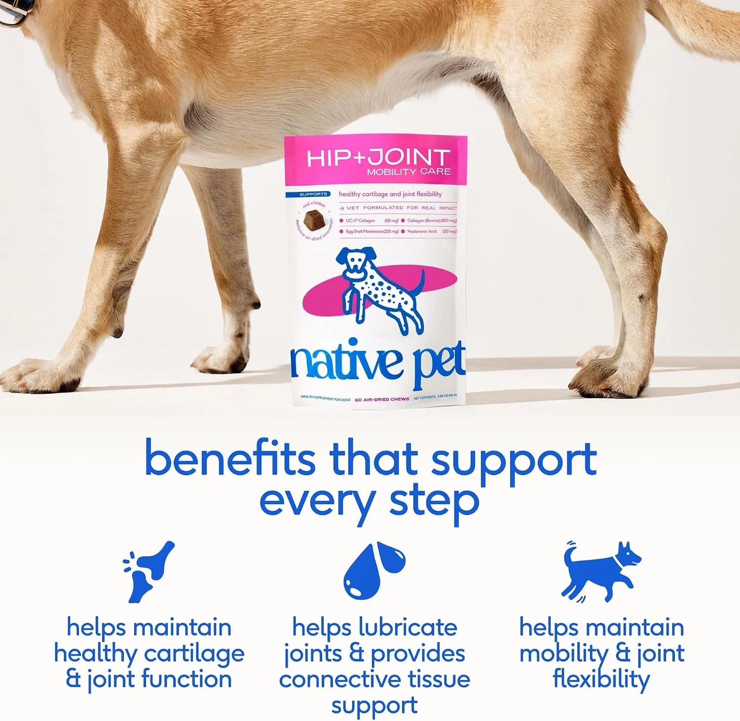 Native Pet Joint & Allergy Defense Pack: Hip & Joint Supplement for Dogs - Maintain Healthy Cartilage & Joint Flexibility & Dog Allergy Relief with Probiotics and Colostrum for Itch Relief - 60 Chews