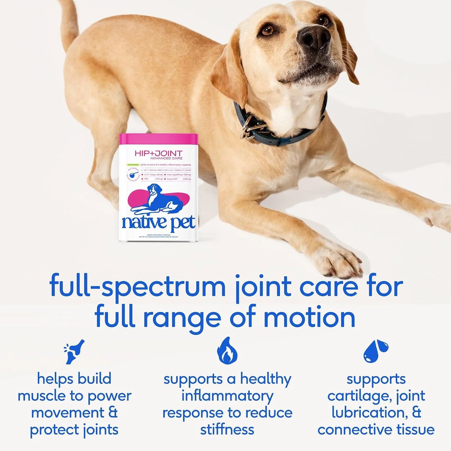 Native Pet Joint Health & Daily Wellness Pack: Hip & Joint Supplement for Dogs - Supports Joints, Cartilage, Muscles & Anti-Inflammatory & Dog Vitamins & Supplements - 11-in-1 Multivitamin Powder - 30